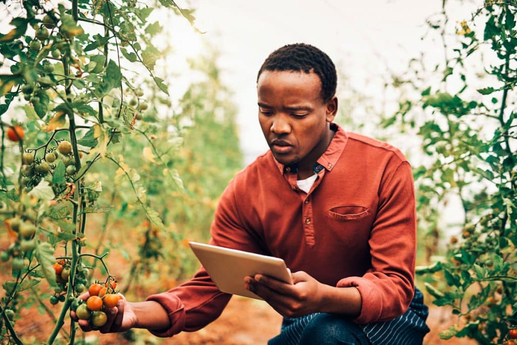 farmer holding tablet