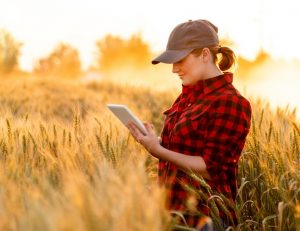 woman in field on tablet device