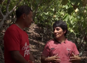 Peruvian Cocoa Farmer William Tabera1